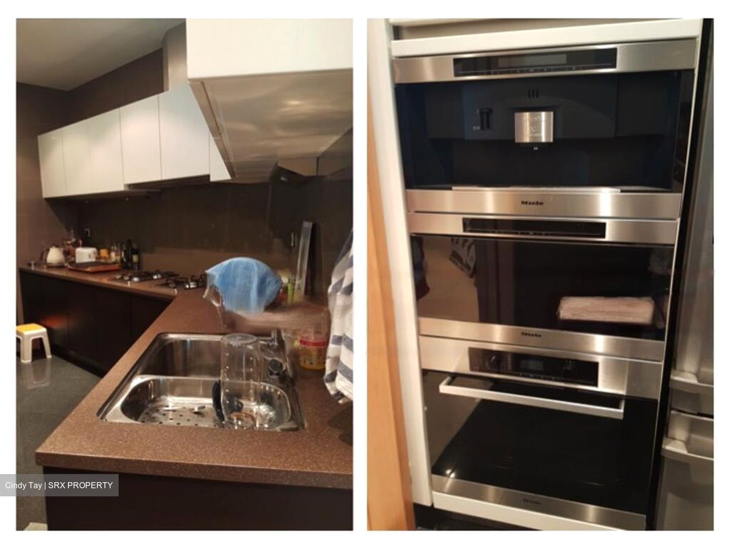 Belle Vue Residences (D9), Condominium #466641941